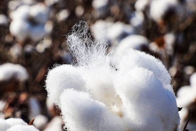 提升紡織業(yè)產(chǎn)業(yè)鏈與價值鏈 塑造中國服裝品牌